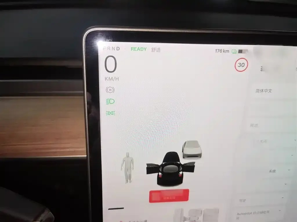 Tesla Model 3 2021 из CN, фото 4