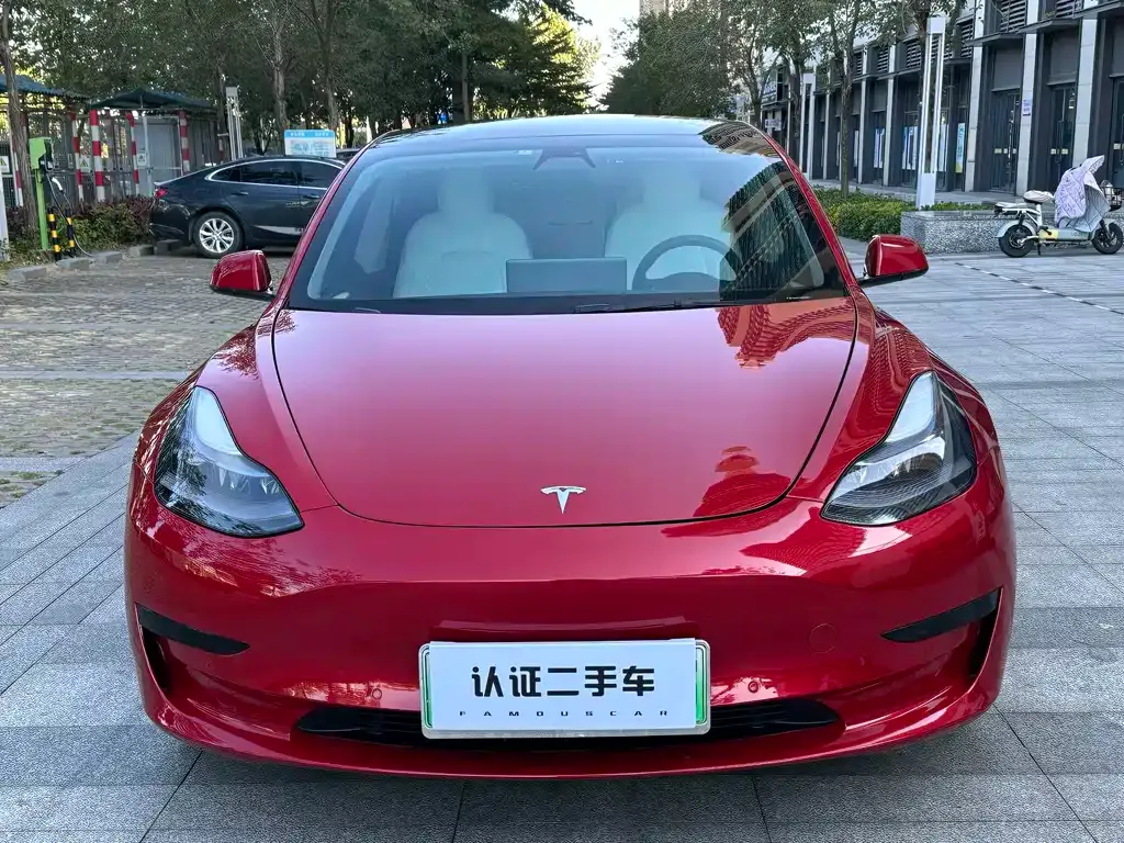 Tesla Model 3 2021 из CN, фото 10