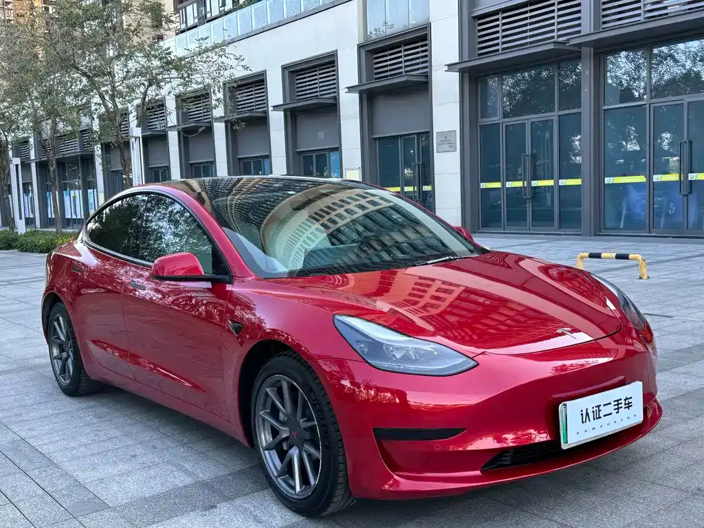 Tesla Model 3 2021 из CN, фото 6