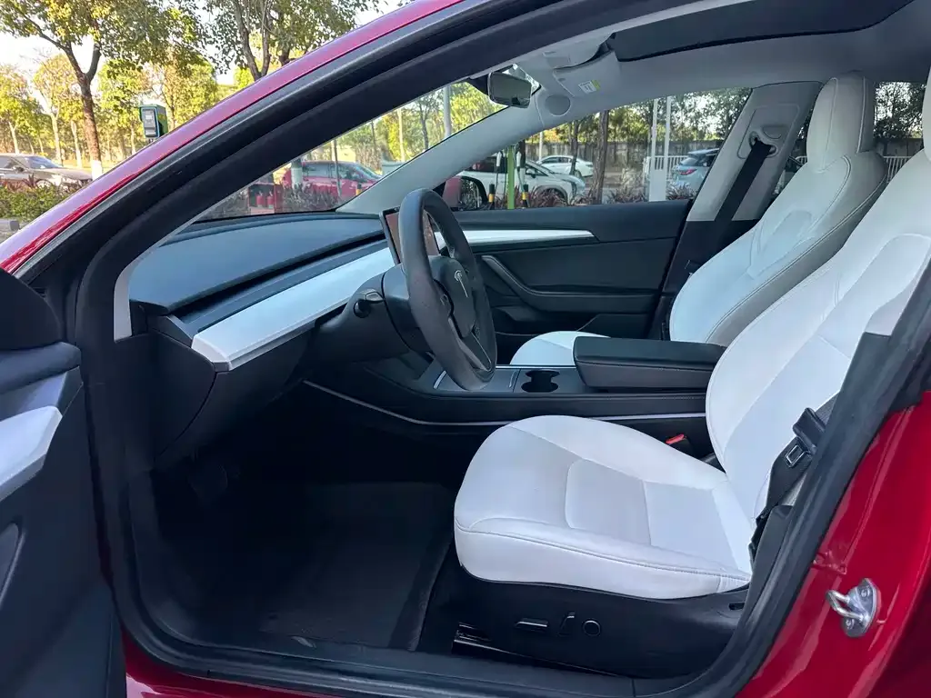 Tesla Model 3 2021 из CN, фото 8