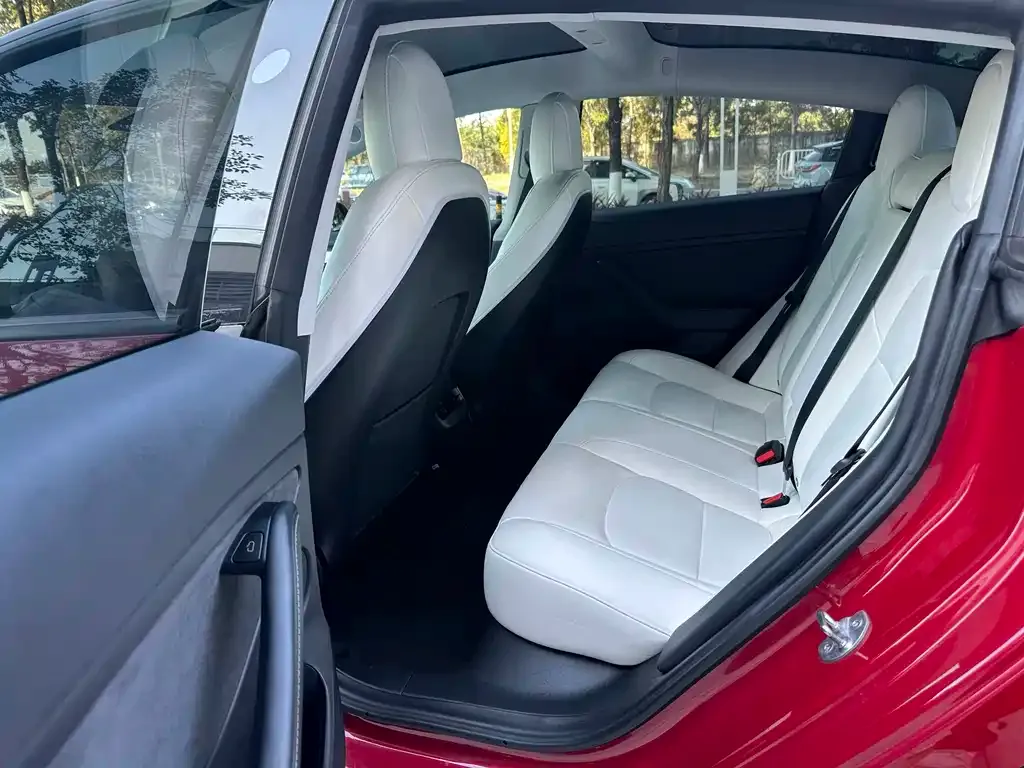 Tesla Model 3 2021 из CN, фото 4