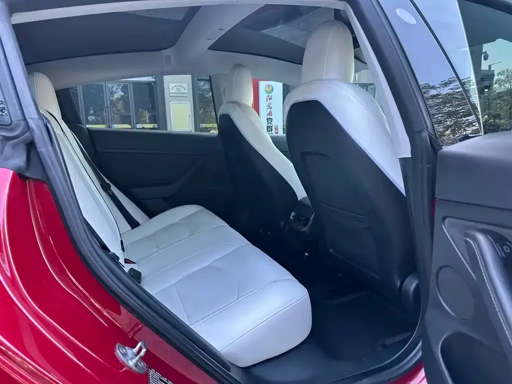 Tesla Model 3 2021 из CN, фото 5