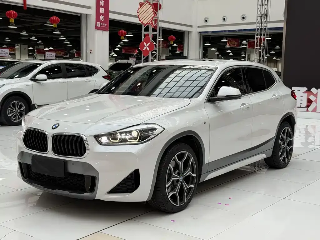 BMW X2 2021 из CN, фото 1