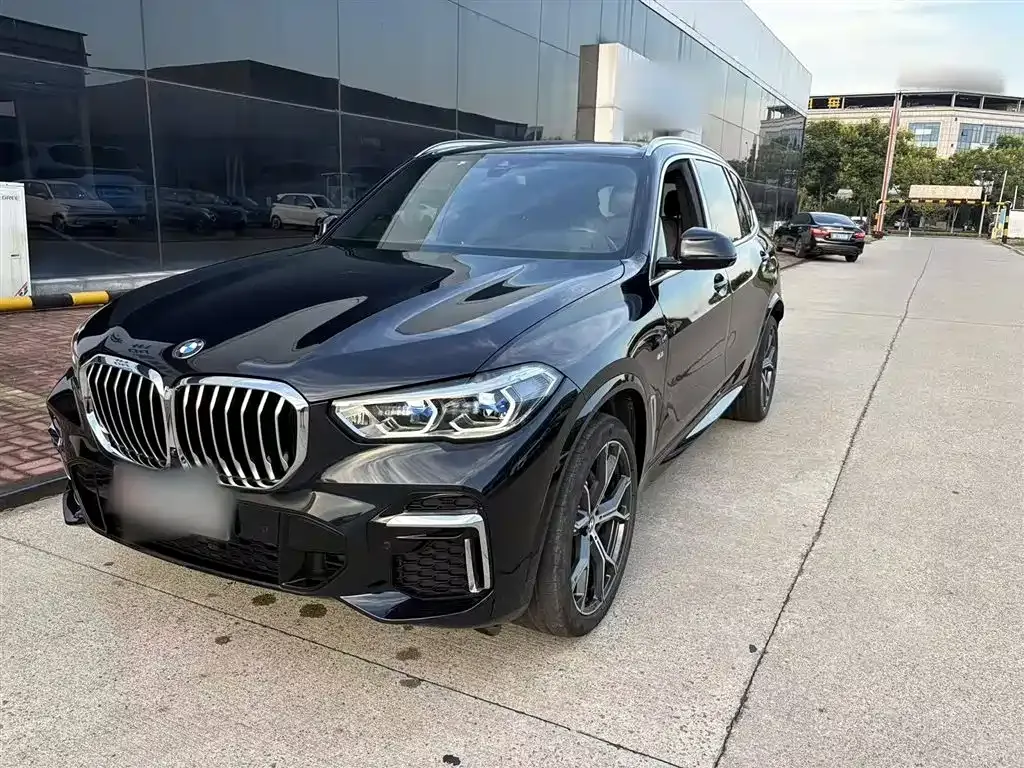 BMW X5 2022 из CN, фото 1