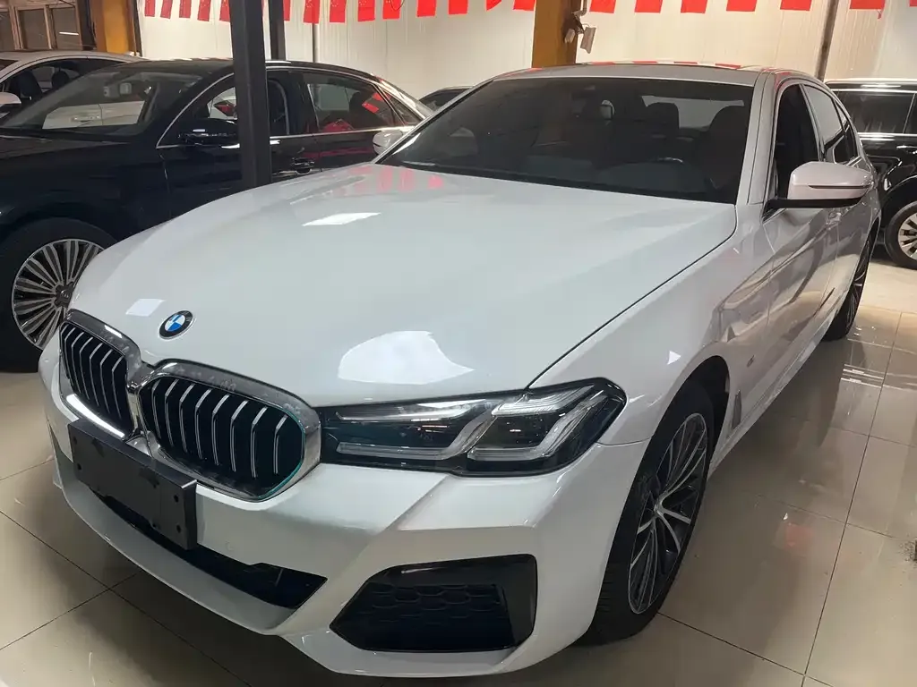 BMW 5 Series 2023 из CN, фото 1