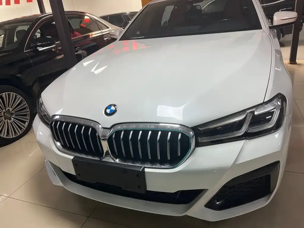 BMW 5 Series 2023 из CN, фото 7