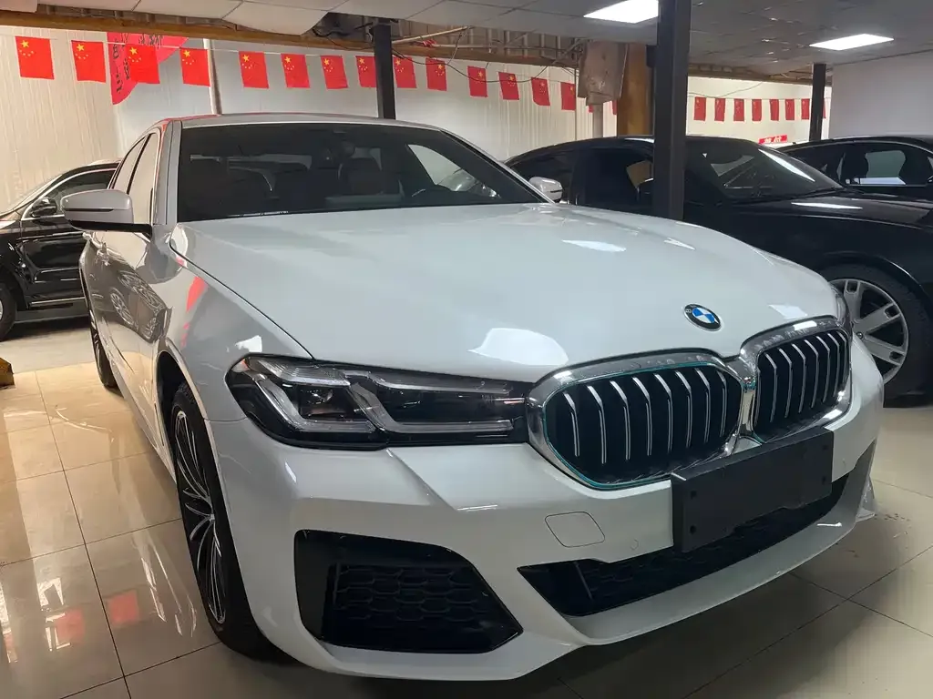 BMW 5 Series 2023 из CN, фото 4