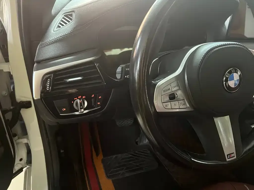 BMW 5 Series 2023 из CN, фото 8