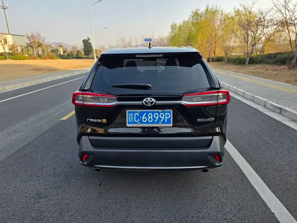 Toyota Wildlander 2023 из CN, фото 6