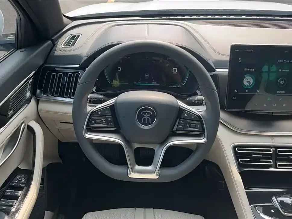 BYD PLUS New Energy 2021 из CN, фото 3