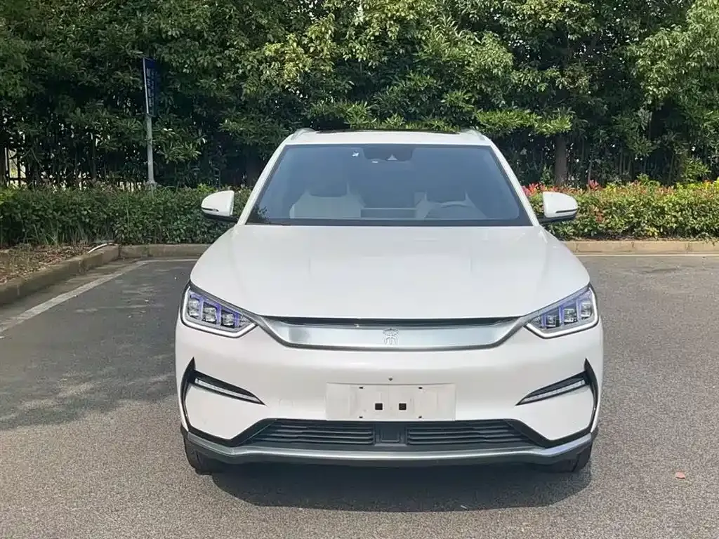 BYD PLUS New Energy 2021 из CN, фото 4