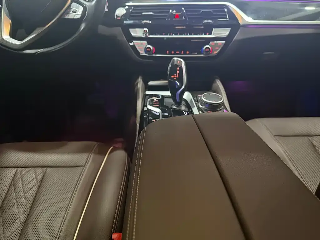 BMW 5 Series 2021 из CN, фото 4