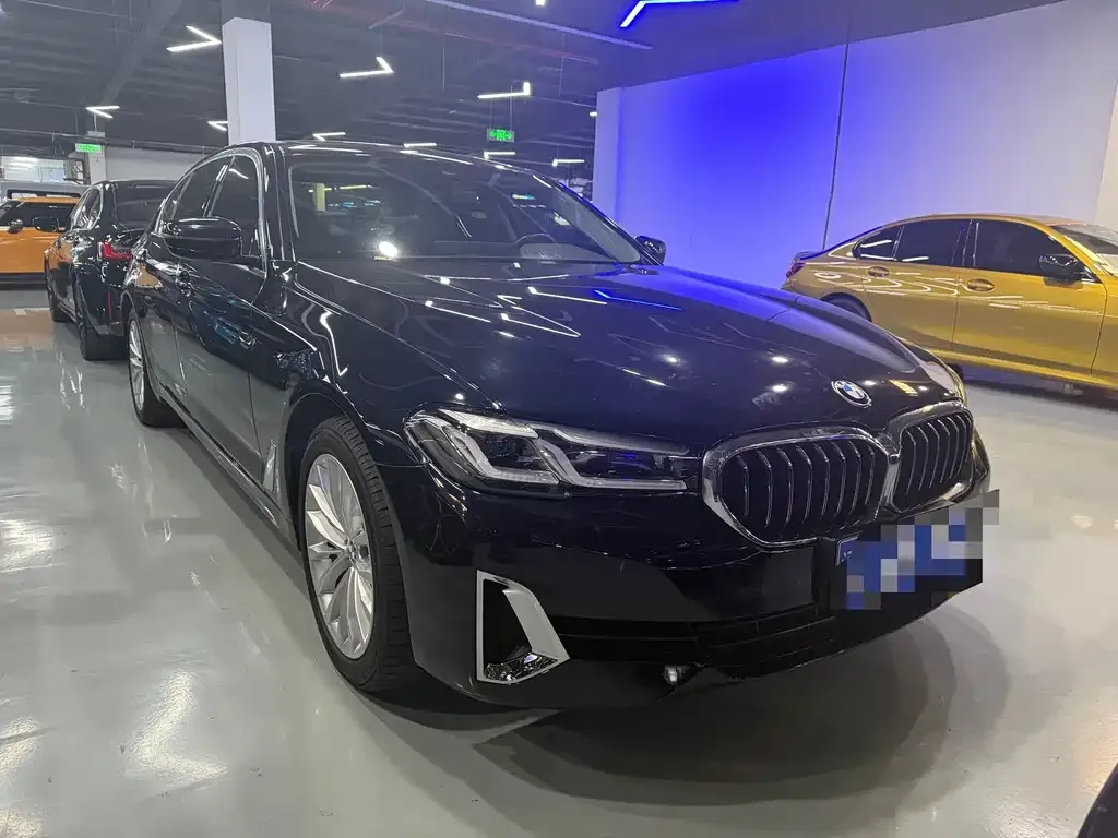 BMW 5 Series 2021 из CN, фото 9