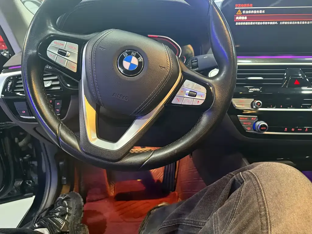 BMW 5 Series 2021 из CN, фото 10