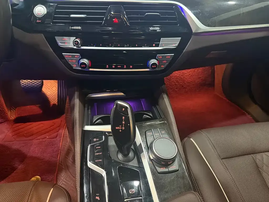BMW 5 Series 2021 из CN, фото 3
