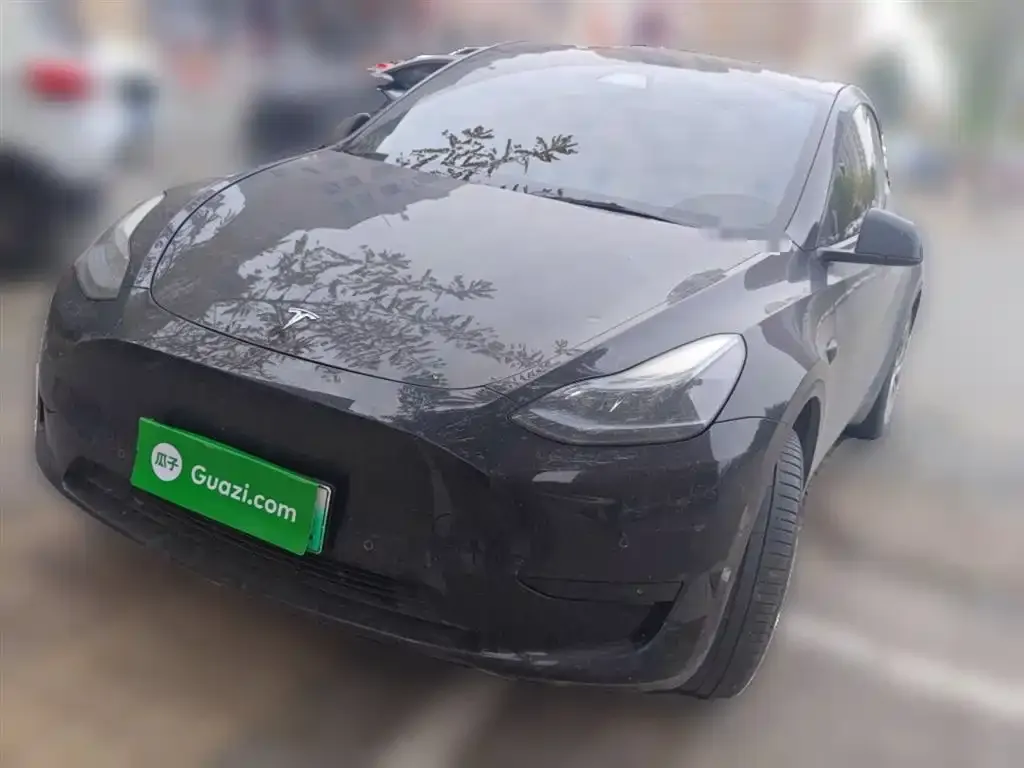 Tesla Model Y 2023 из CN, фото 2