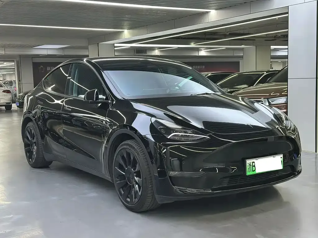 Tesla Model Y — фото 8