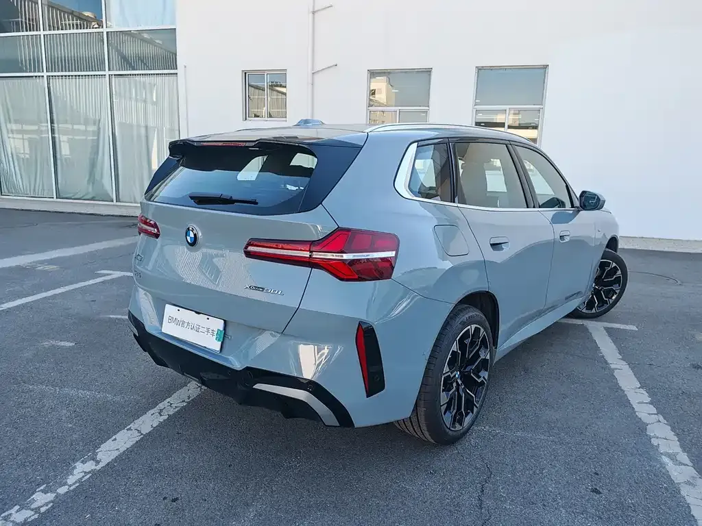 BMW X3 2025 из CN, фото 10