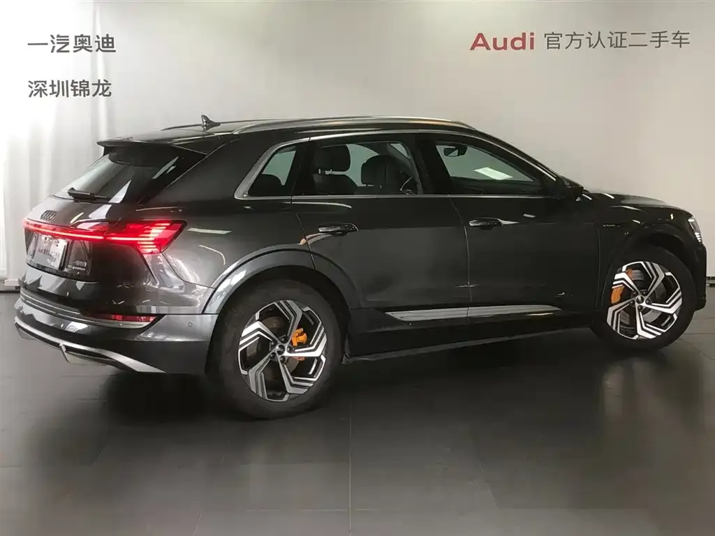 Audi e-tron 2022 из CN, фото 2