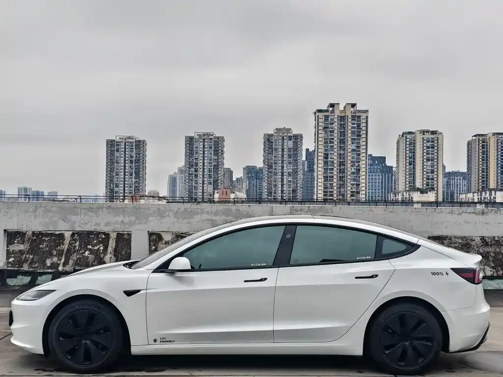 Tesla Model 3 2024 из CN, фото 3