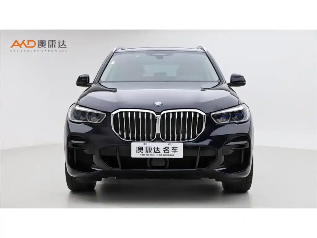 BMW X5 (Import) — фото 3