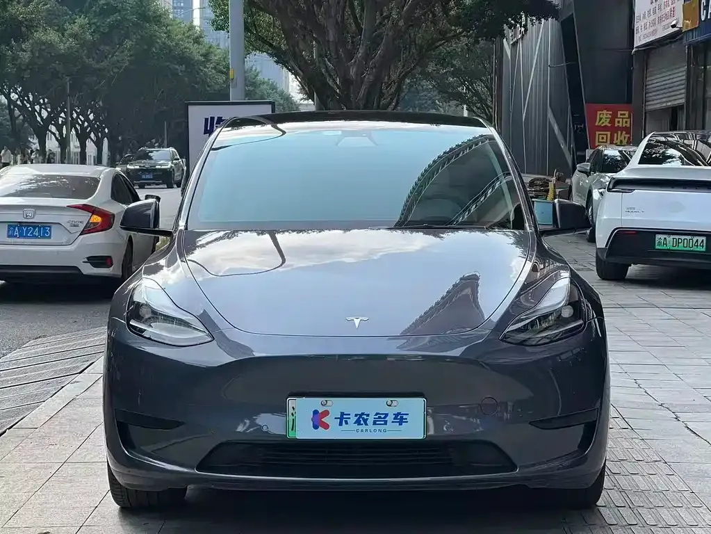 Tesla Model Y — фото 6