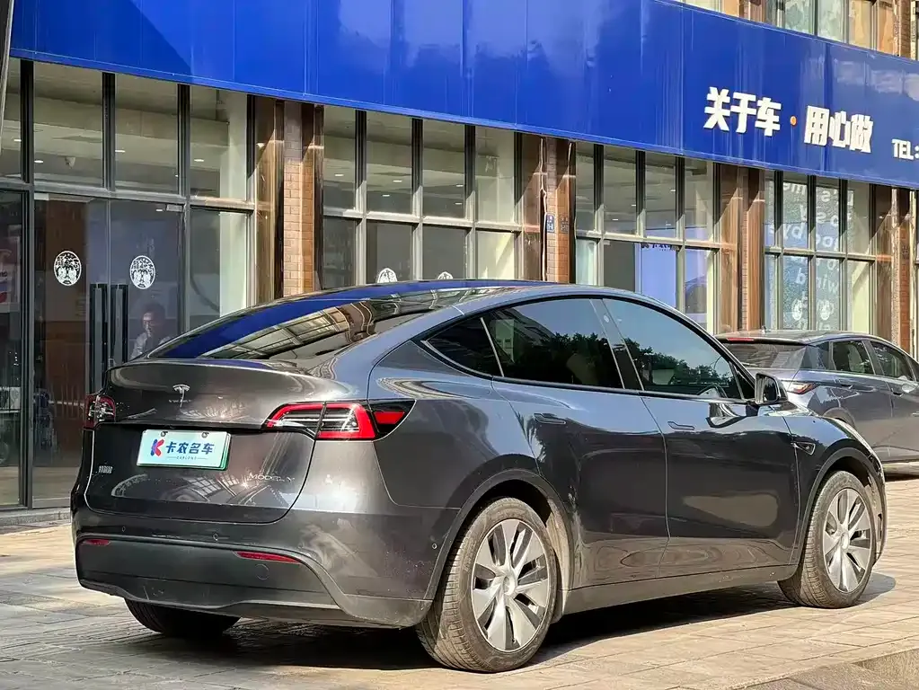 Tesla Model Y — фото 10
