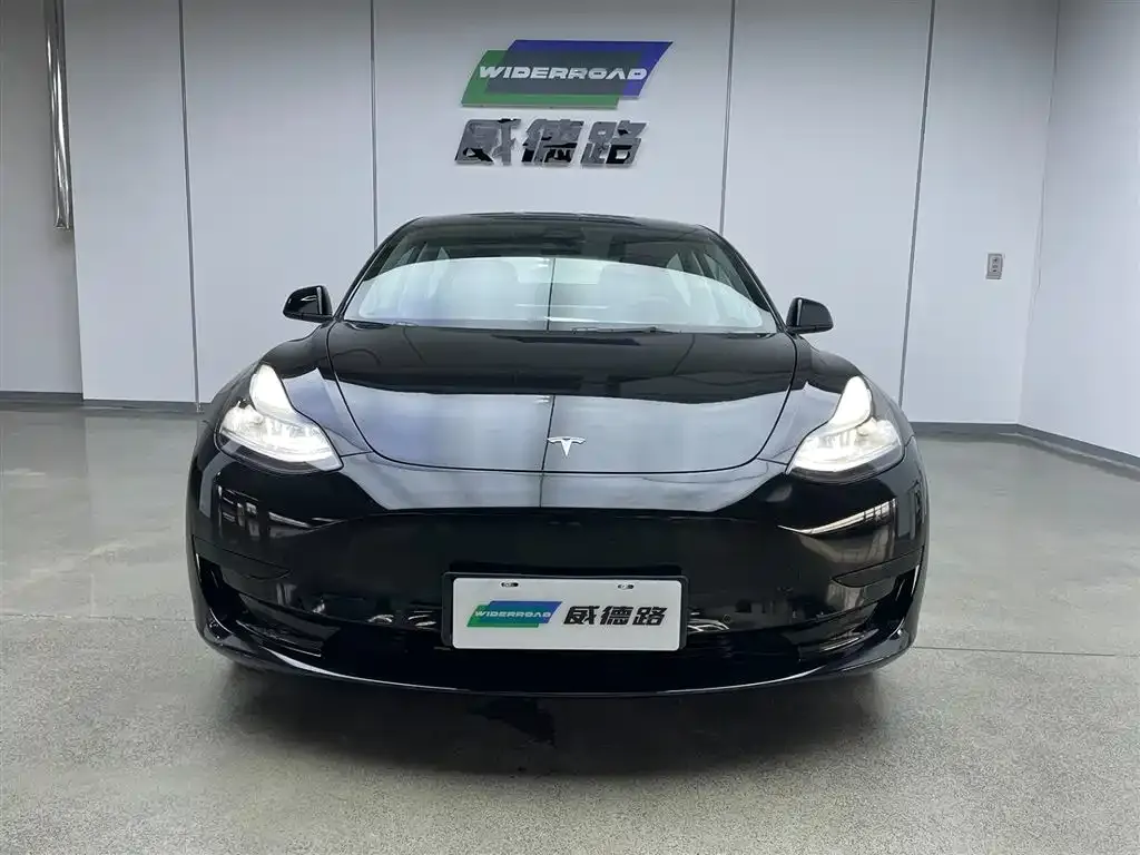 Tesla Model 3 2023 из CN, фото 2