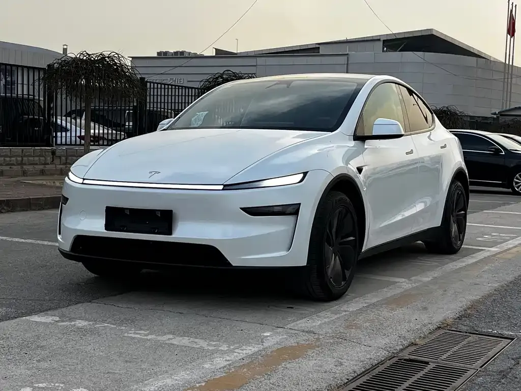 Tesla Model Y 2025 из CN, фото 1