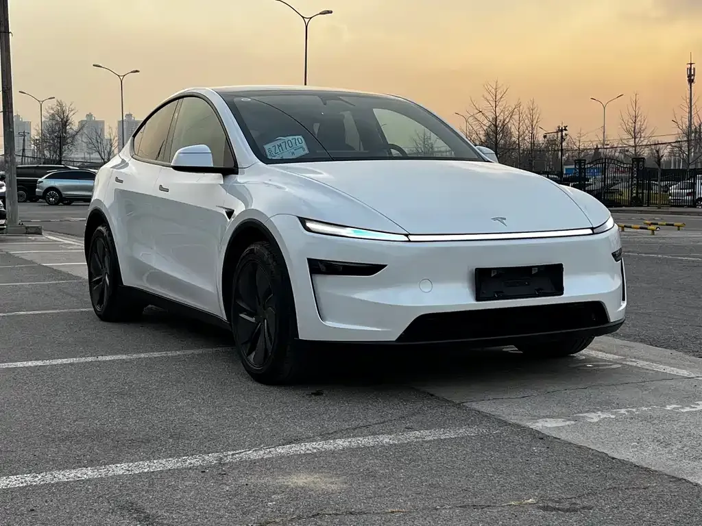 Tesla Model Y 2025 из CN, фото 9