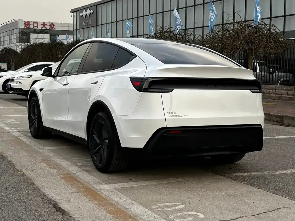 Tesla Model Y 2025 из CN, фото 4
