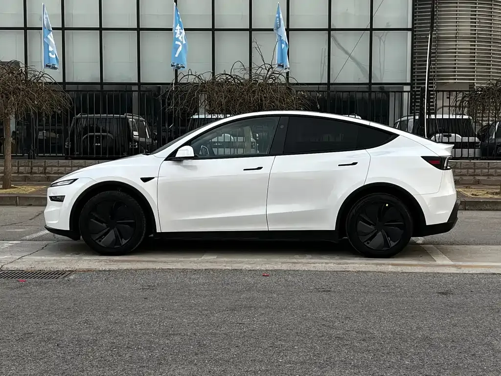 Tesla Model Y 2025 из CN, фото 10