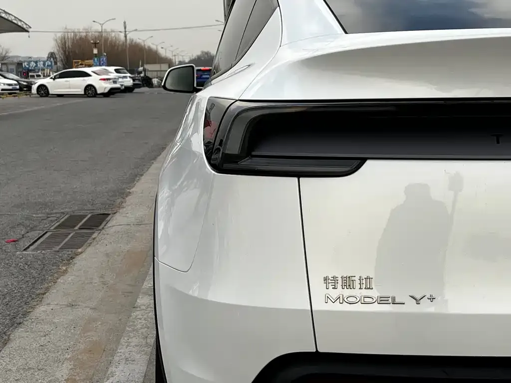 Tesla Model Y 2025 из CN, фото 6