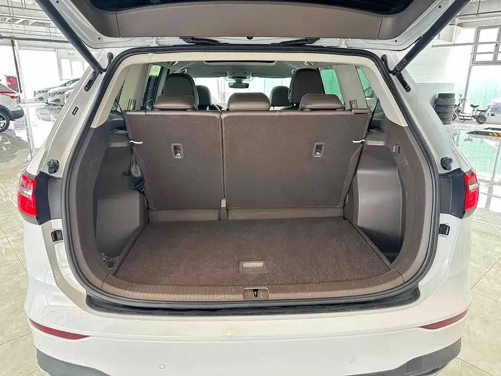 Volkswagen Viloran 2023 из CN, фото 10