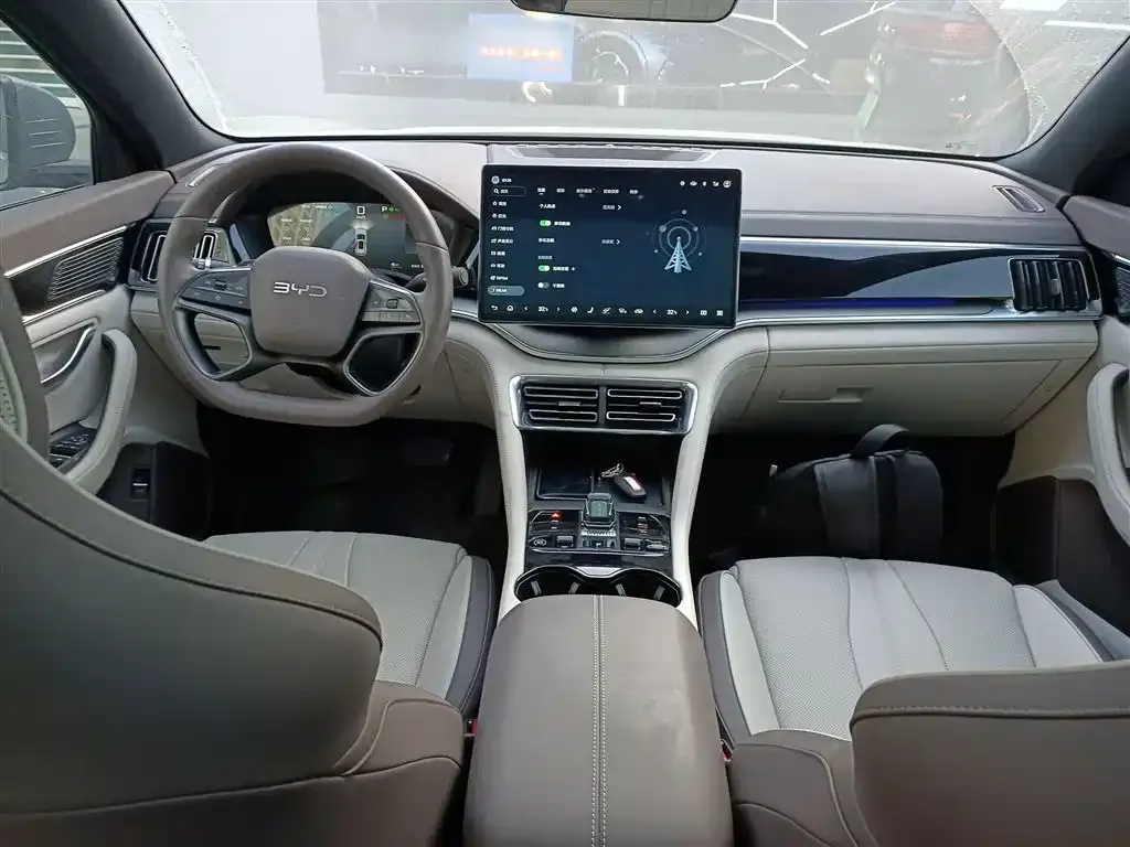 BYD PLUS New Energy 2025 из CN, фото 2