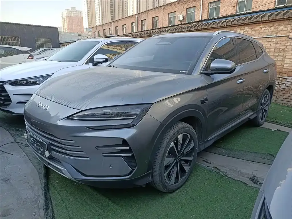 BYD PLUS New Energy 2025 из CN, фото 3