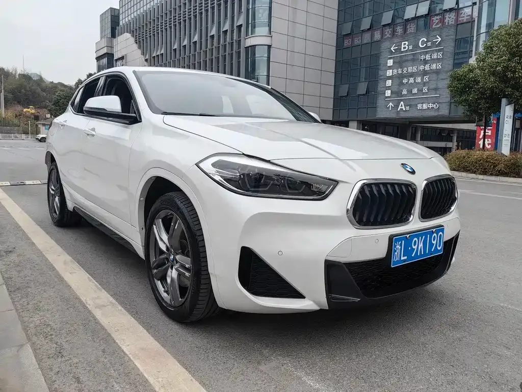 BMW X2 2022 из CN, фото 10
