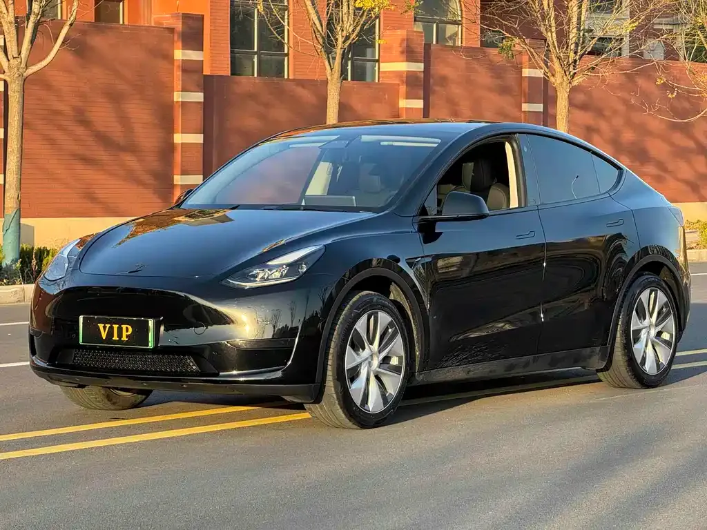 Tesla Model Y 2023 из CN, фото 1