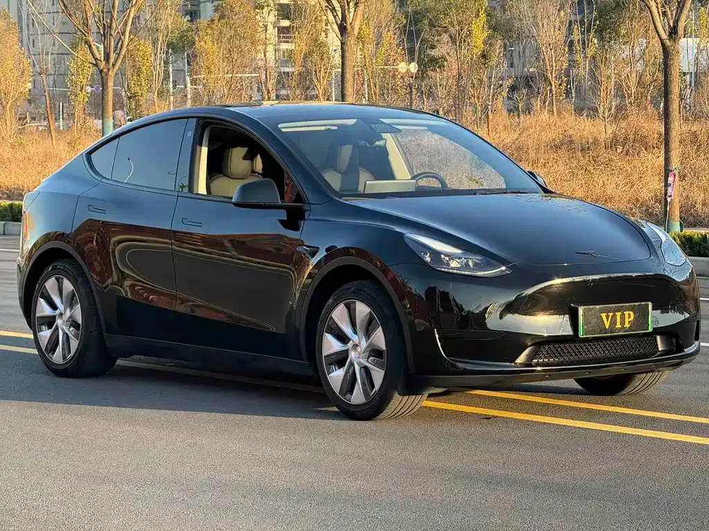 Tesla Model Y 2023 из CN, фото 2