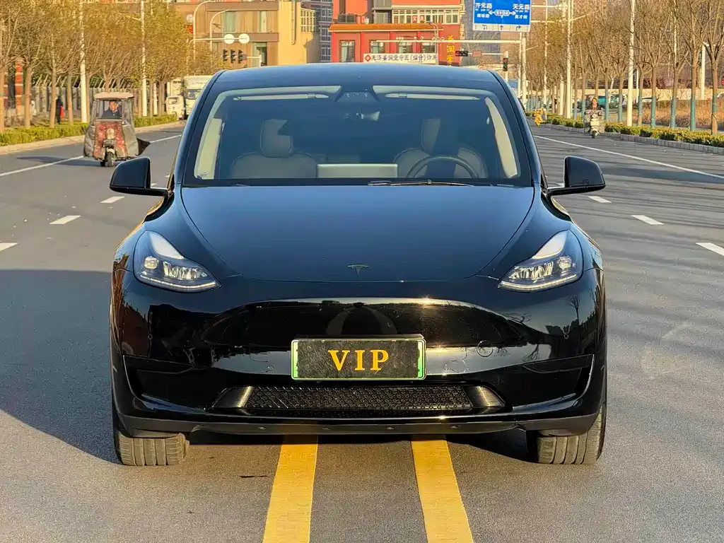 Tesla Model Y 2023 из CN, фото 3