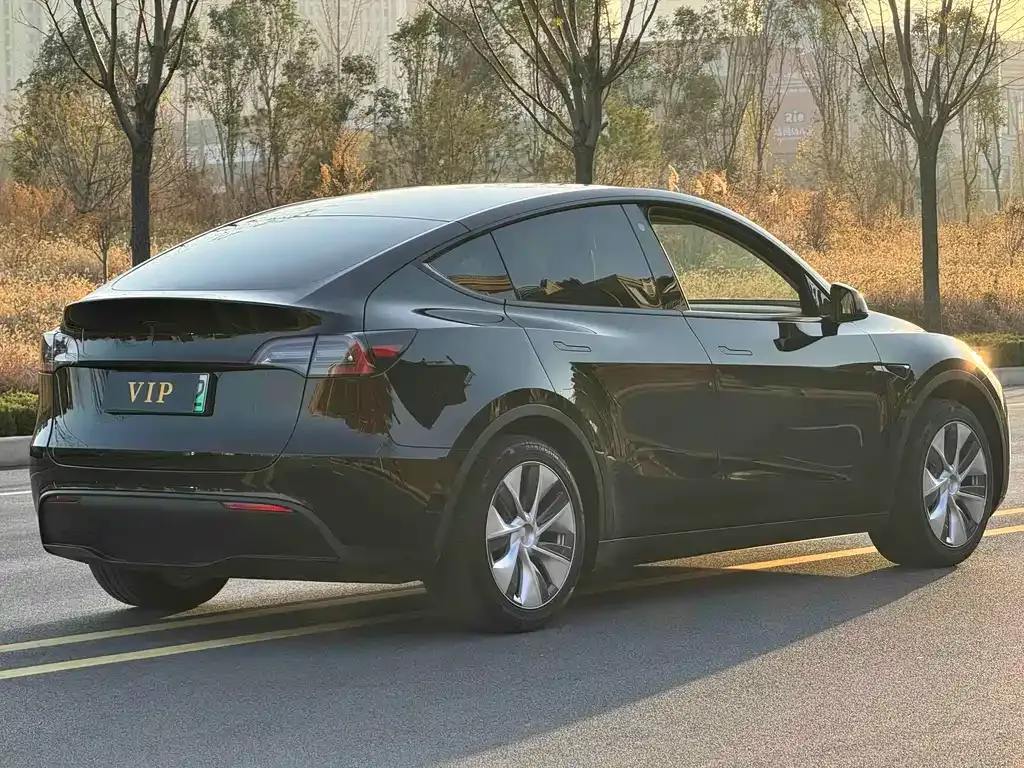Tesla Model Y 2023 из CN, фото 6
