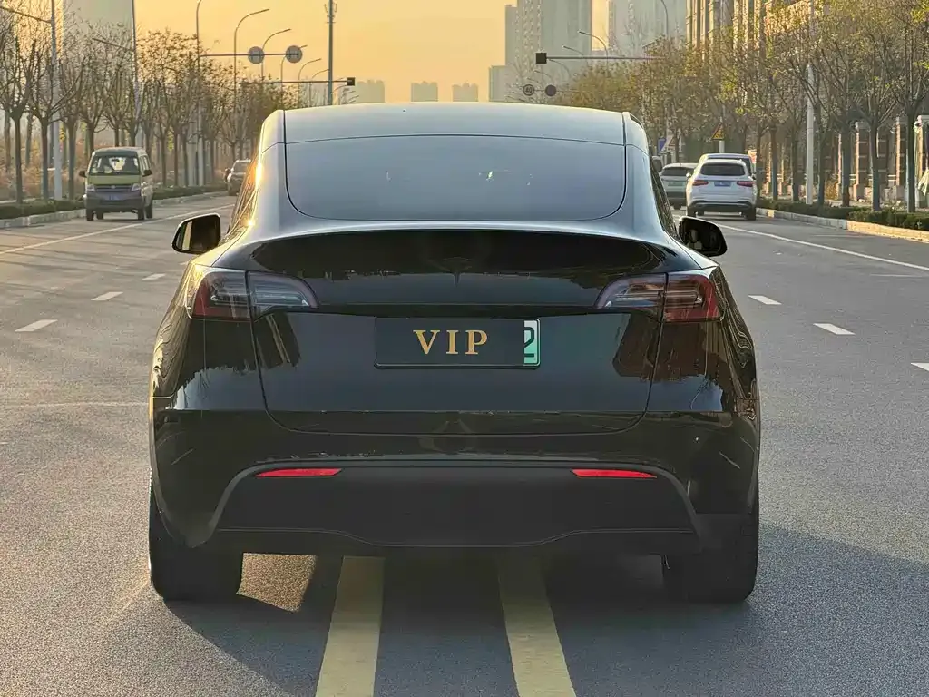 Tesla Model Y 2023 из CN, фото 7