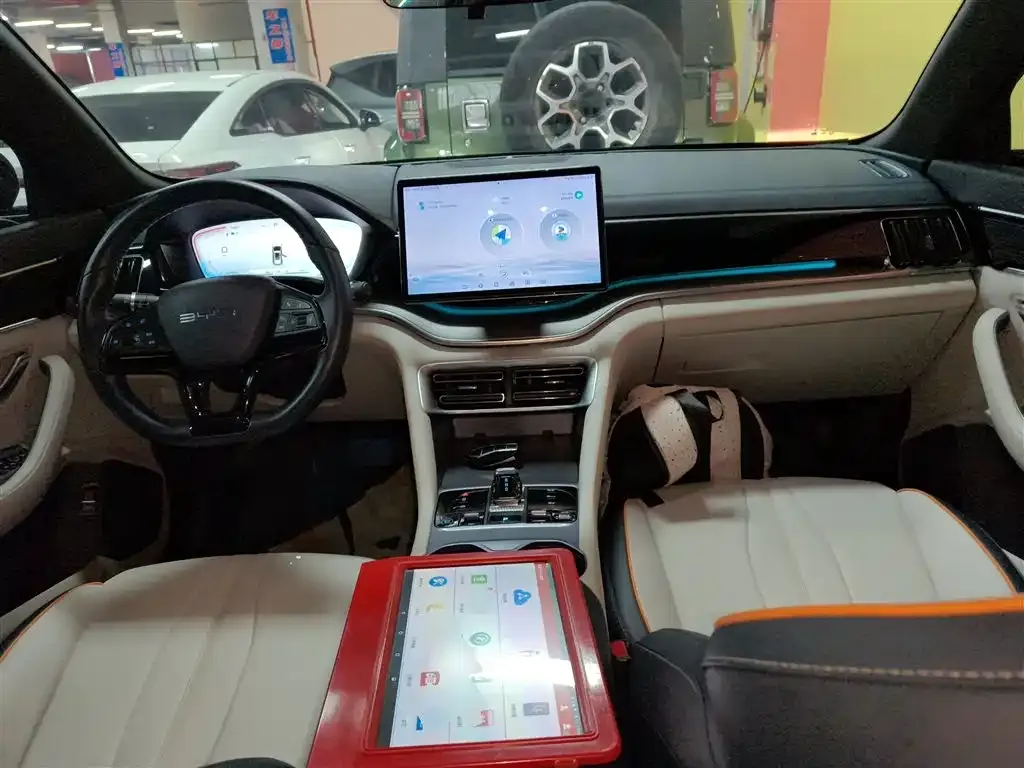 BYD PLUS New Energy 2024 из CN, фото 3