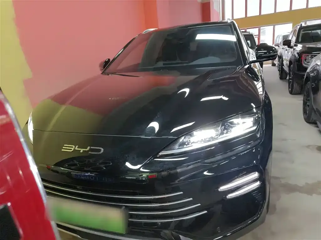 BYD PLUS New Energy 2024 из CN, фото 7