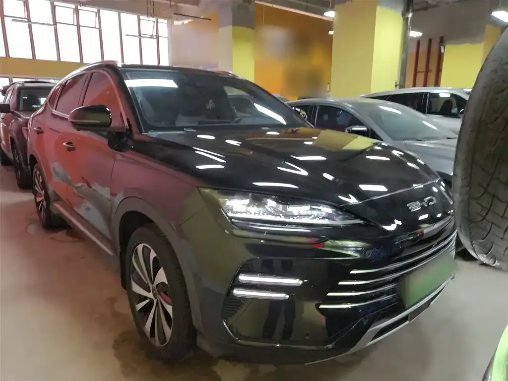 BYD PLUS New Energy 2024 из CN, фото 5