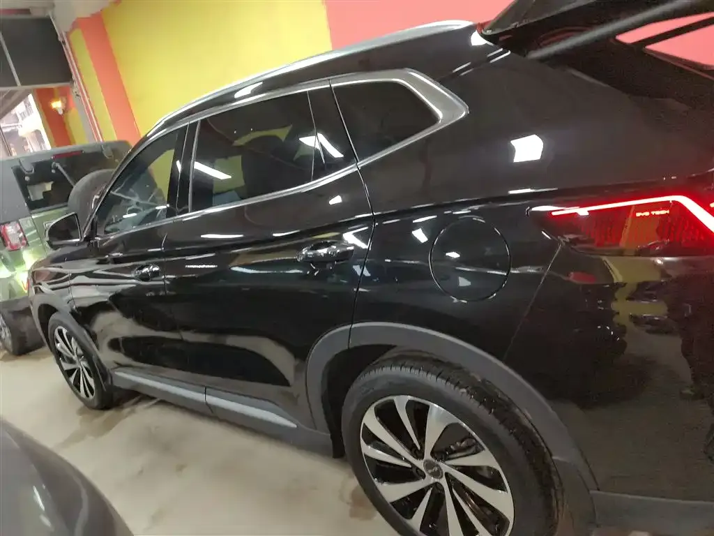 BYD PLUS New Energy 2024 из CN, фото 2