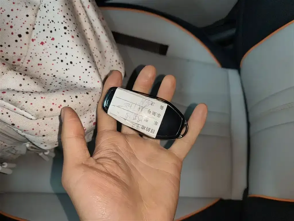 BYD PLUS New Energy 2024 из CN, фото 10