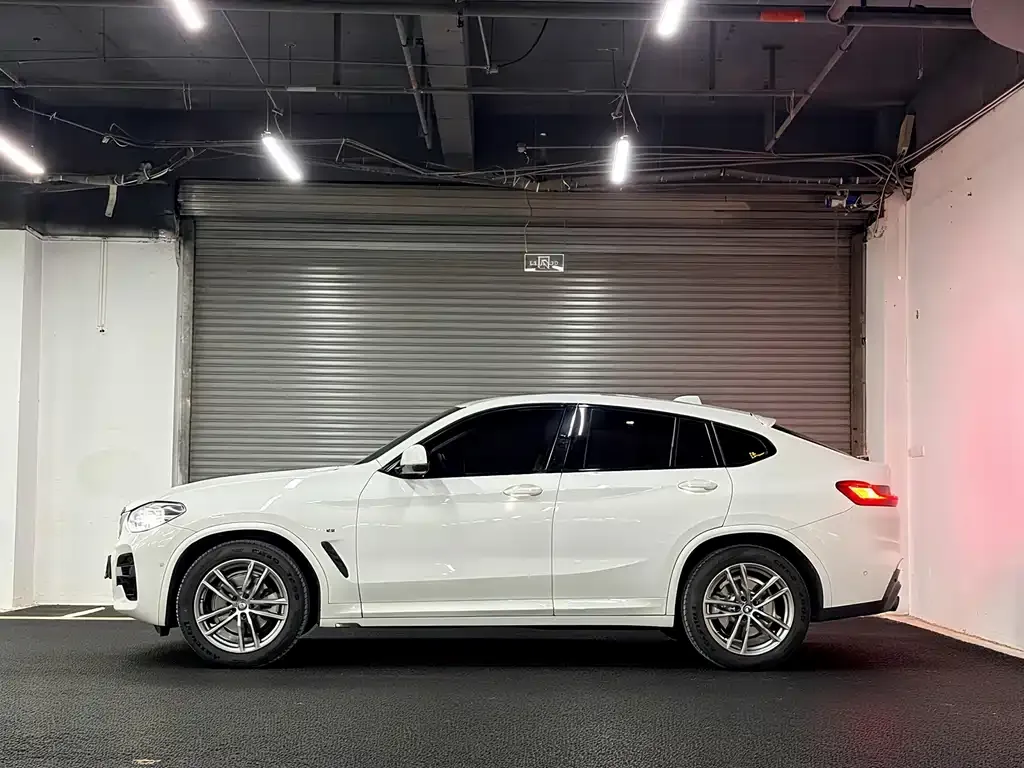 BMW X4 2021 из CN, фото 5