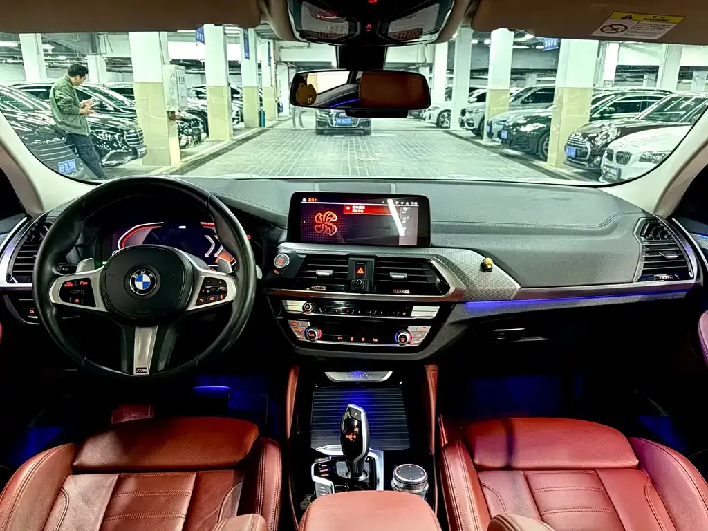 BMW X4 2021 из CN, фото 6