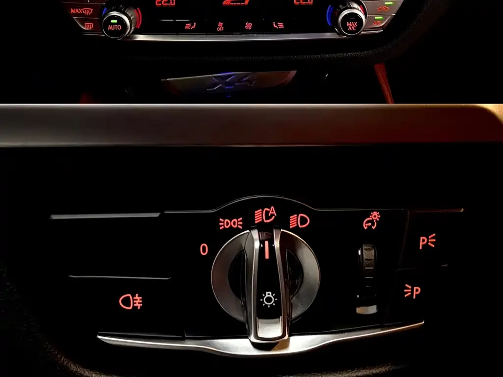 BMW X4 2021 из CN, фото 3